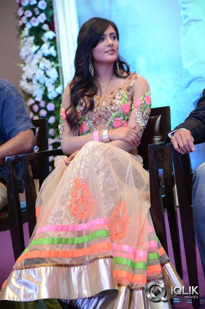 Yamaleela-2-Movie-First-Look-Launch